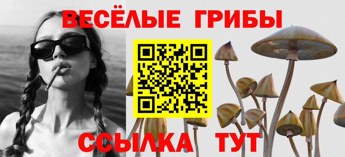 Псилоцибиновые грибы ЛСД Рязань