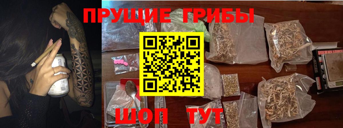 где купить наркоту  Вход с VPN  Рязань  Псилоцибиновые грибы Psilocybine cubensis 